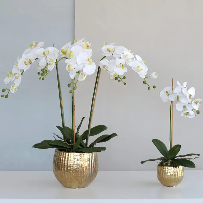 Large Real Touch Decorative Plants Phalaenopsis For Home Decor Silk Artificial Latex Flower Orchids Arrangement With Flowerpot