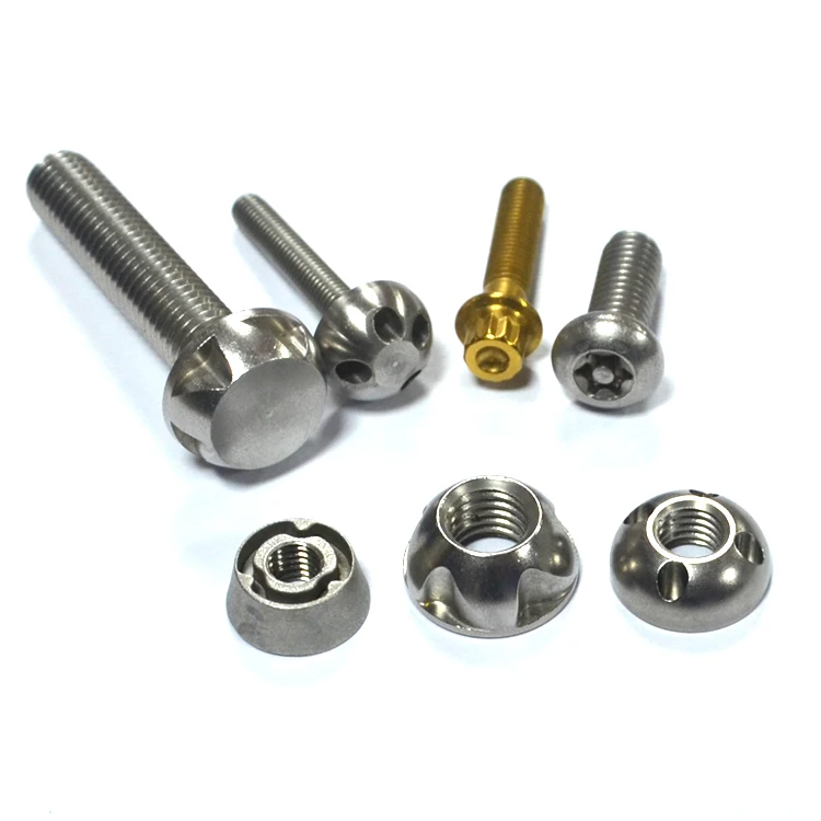 Special stainless steel secure anti-theft bolt and nut screw for outside led