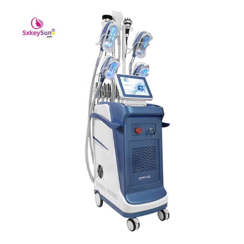 

Best quality criolipolisis cellulite removal machine fat Freezing machine cryolipolysis with 3 optional cryo handles