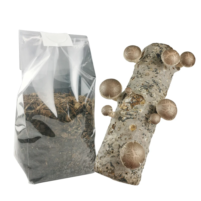 

Strain Filter Bag Mycelium PP Biodegradable Mushroom Grow plastic Spawn filter Bags