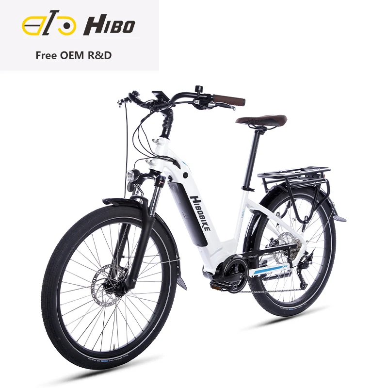 

26' Ebike Eu Standard Electric City Bicycle 36V 250W Crank Motor Electric Ladies Bikes 36V 14AH battery