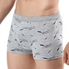 /product-detail/wholesale-high-quality-underwear-men-wearing-panties-bulk-custom-boxer-62302555318.html