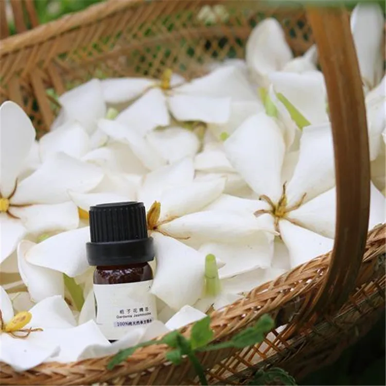 

Premium Grade gardenia essential oil perfect for Aromatherapy, Soaps, Candles, Slime, Lotions, and More