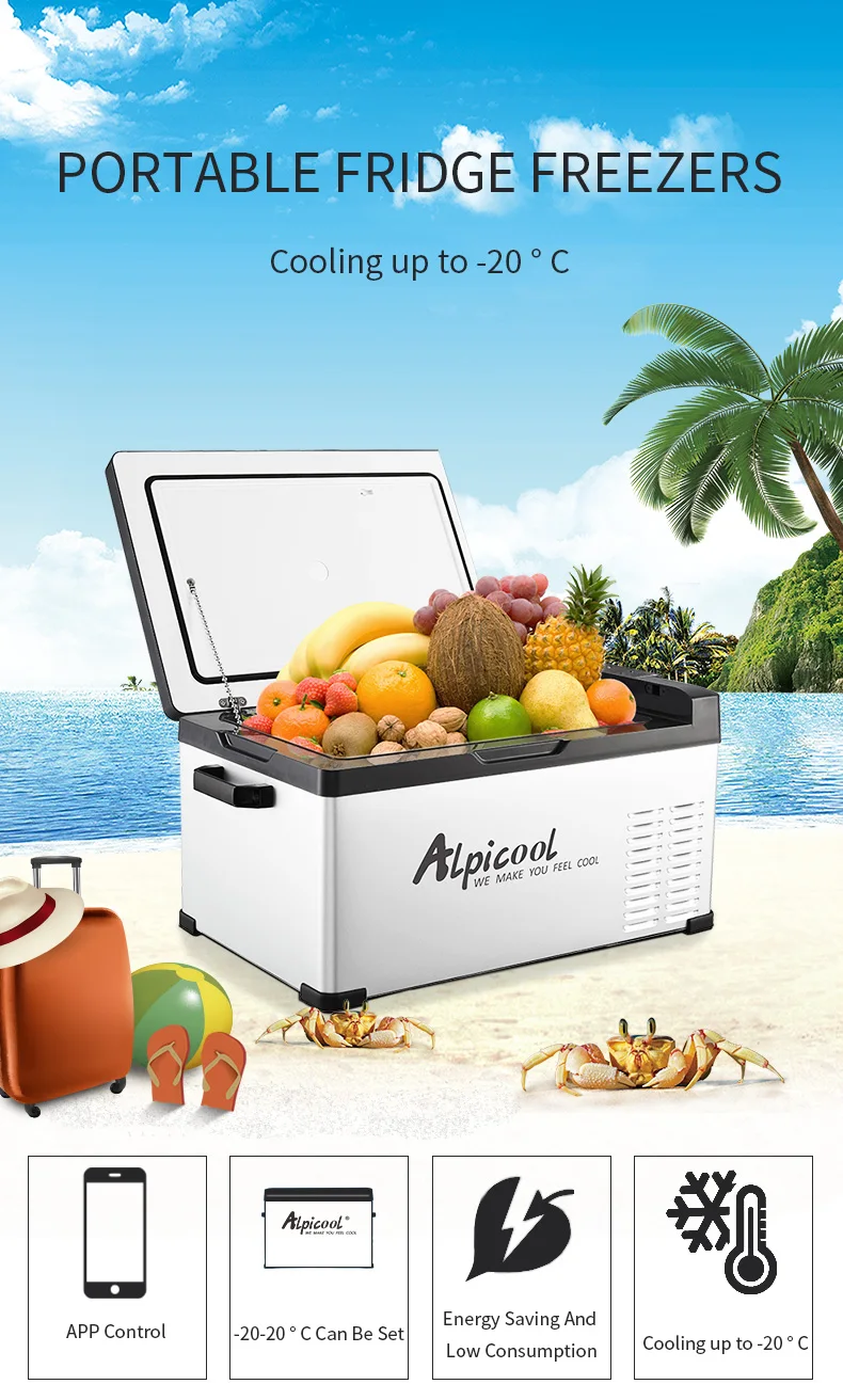 C30 Alpicool Dc Compressor Cooler Box Mini Portable Deep Freezer 12v Refrigerator Car Fridge