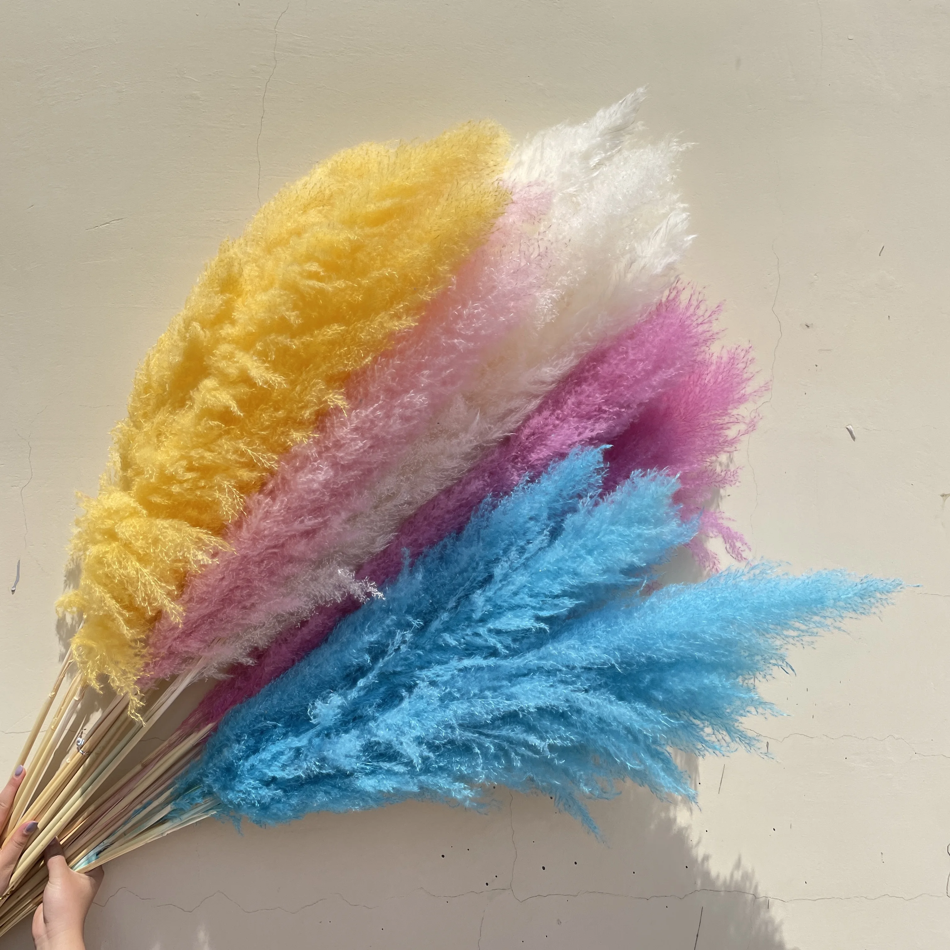 

2023 hot selling Dried decorative flowers beautiful real natural dried fluffy large pampas grass