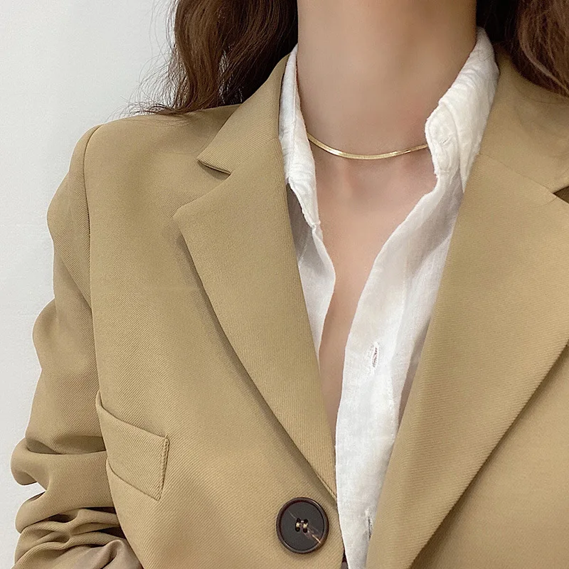 

Simple Taitinum Steel Snake Chain Choker Necklace For Ladies, Picture shows