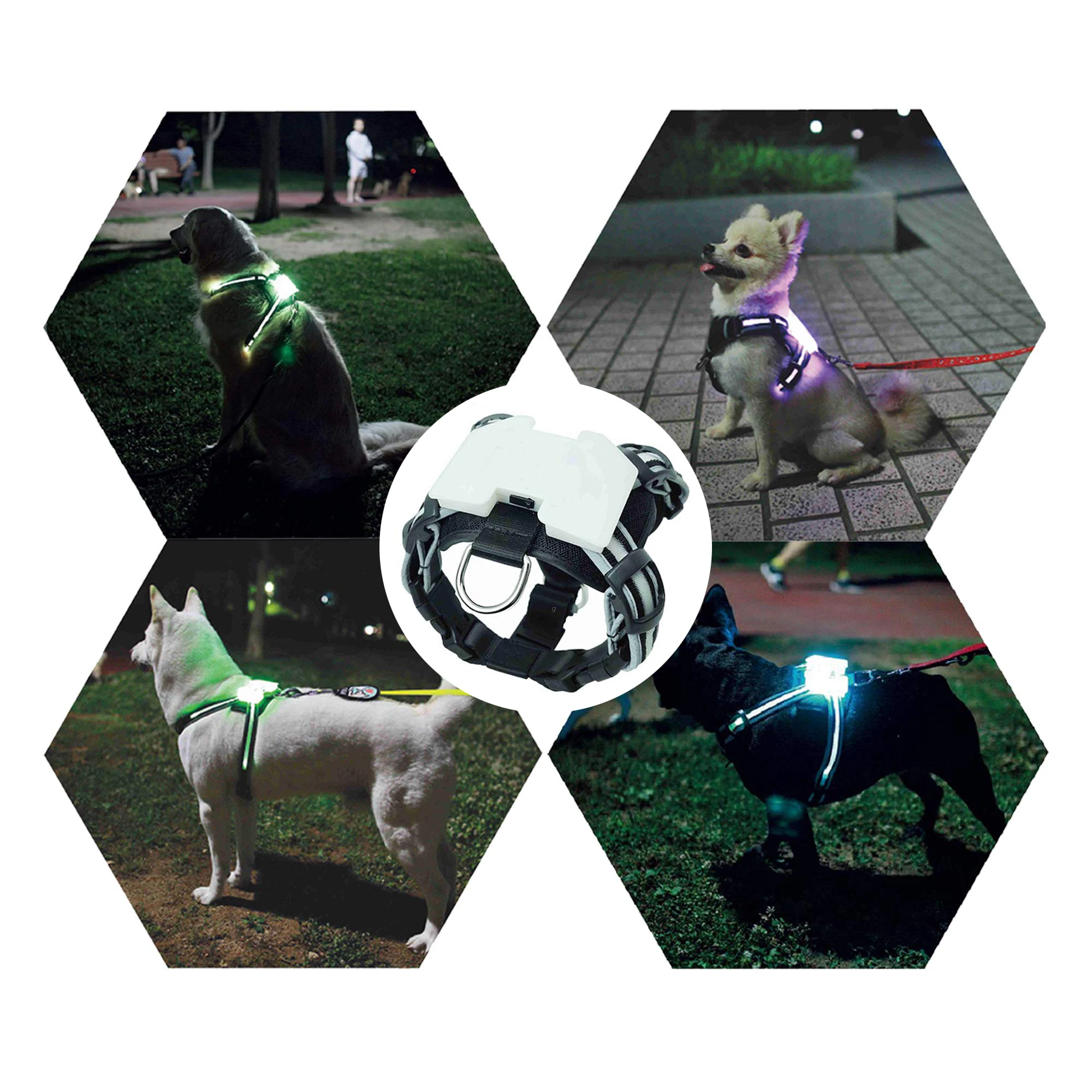 

Factory Wholesale Led No Pull Dog Harness Collar Led USB Chargeable Harness and Leash for Dog