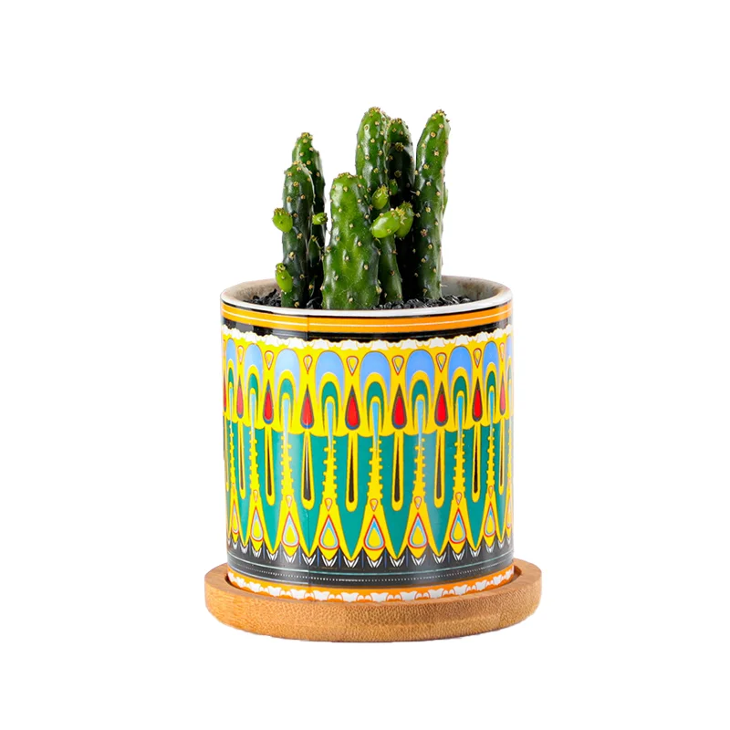 

Flower Surface Ceramic Colorful Ceramic Flowerpot Flower Pots Bulk