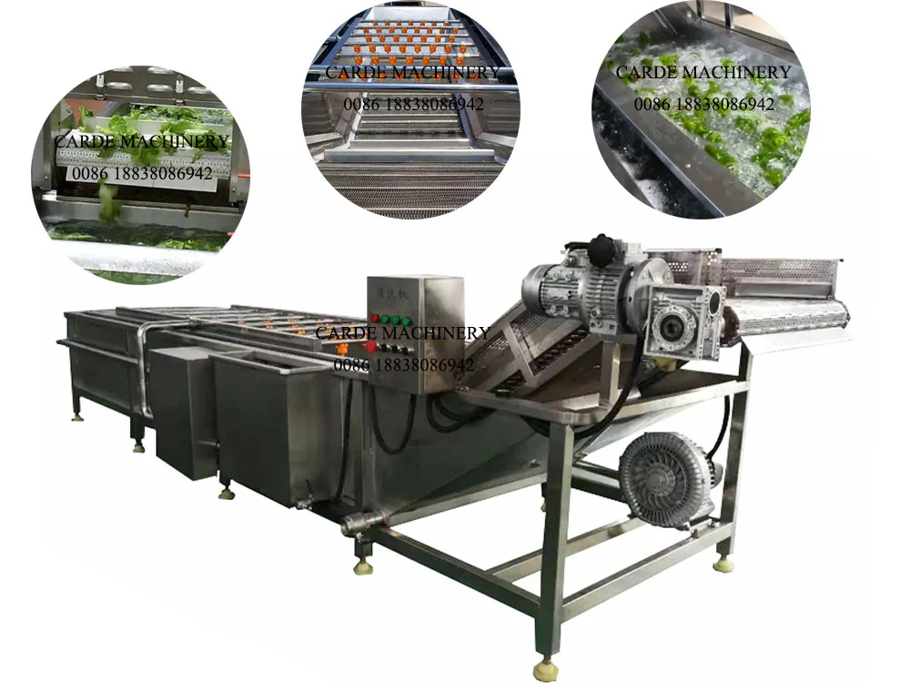 vegatable and fruit washing machine