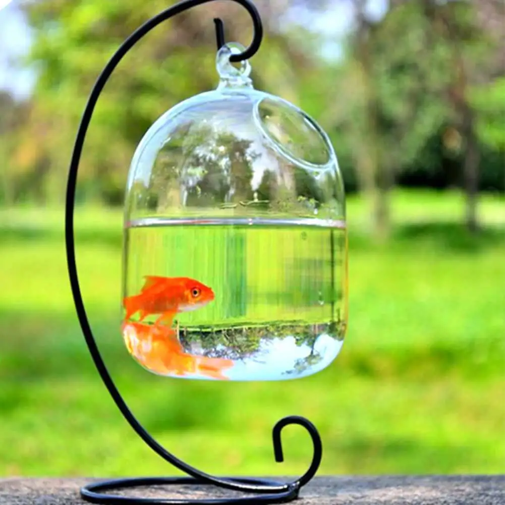 

Mini Fish Tank 15 cm high transparent transparent hanging glass aquarium fish tank flower plant vase pet supplies fast delivery