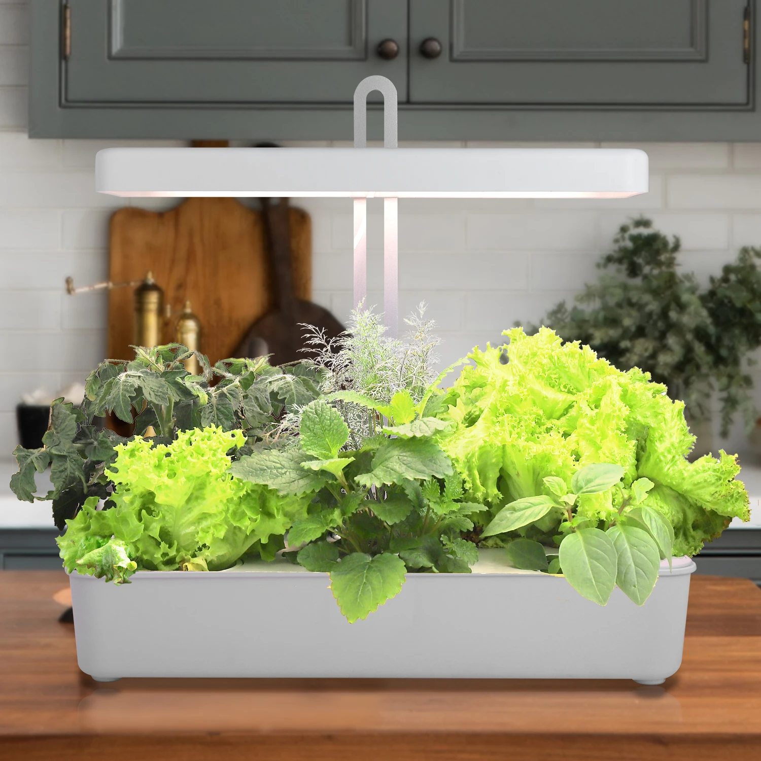 

US FREE SHIPPING countertop hydroponic indoor garden planter smart grow led light plant, White