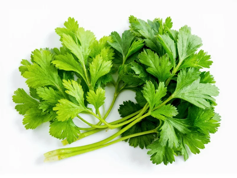 Cilantro Leaves vs Parsley: Key Differences Explained
