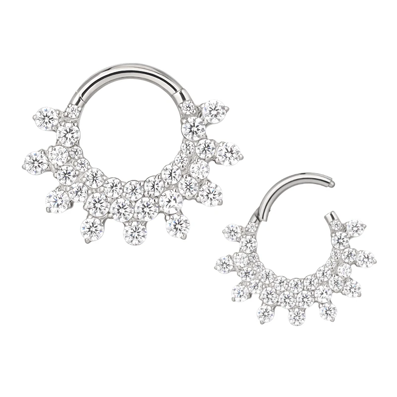 

GZN Ready To Ship G23 Titanium Lots of CZ Covered Face Fashion Segment Ring Hoop Clikers Helix Earring Ring