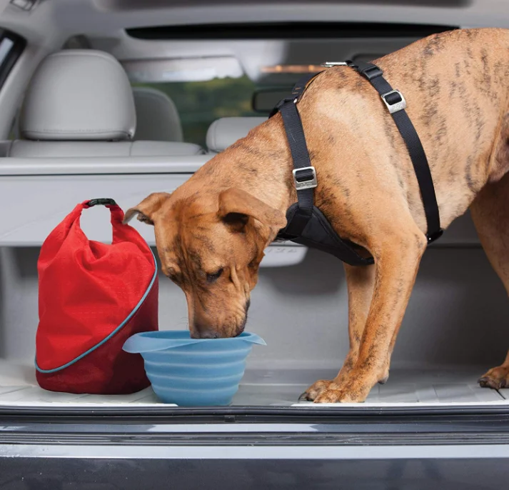 Folding Kibble Bag For Dog For Dog Travel Storage Dog Food Cat Food Bag