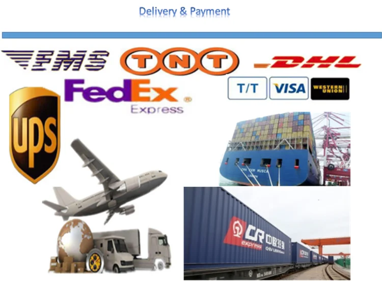 Handmade durable economical practical multifunctional best selling wooden bird house