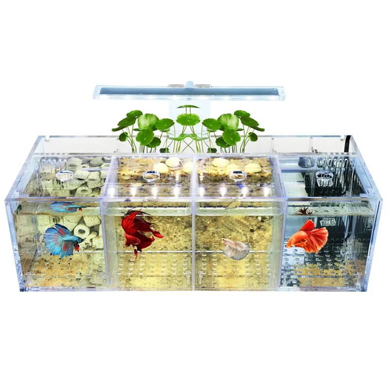 

Betta Raising Four Case With LED Light And Pump Transparent Acrylic Betta Tank