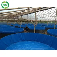 

Custom Size 10k 12k Liter Pvc Coted Tarpaulin For 12000 Liter Biofloc Tank