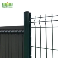 

Factory Price Galvanized 3D Welded Wire Mesh For Fence Panel
