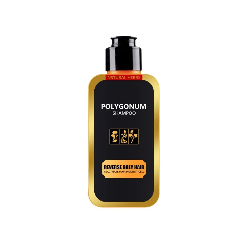 

Wholesales Natural Polygonum Multiflorum Damaged Hair Repair Care Smoothing Black Hair Color Shampoo