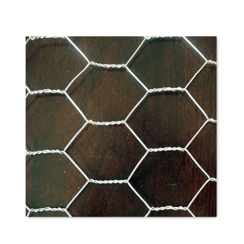 

China manufacture hexagonal chicken wire netting mesh wholesale