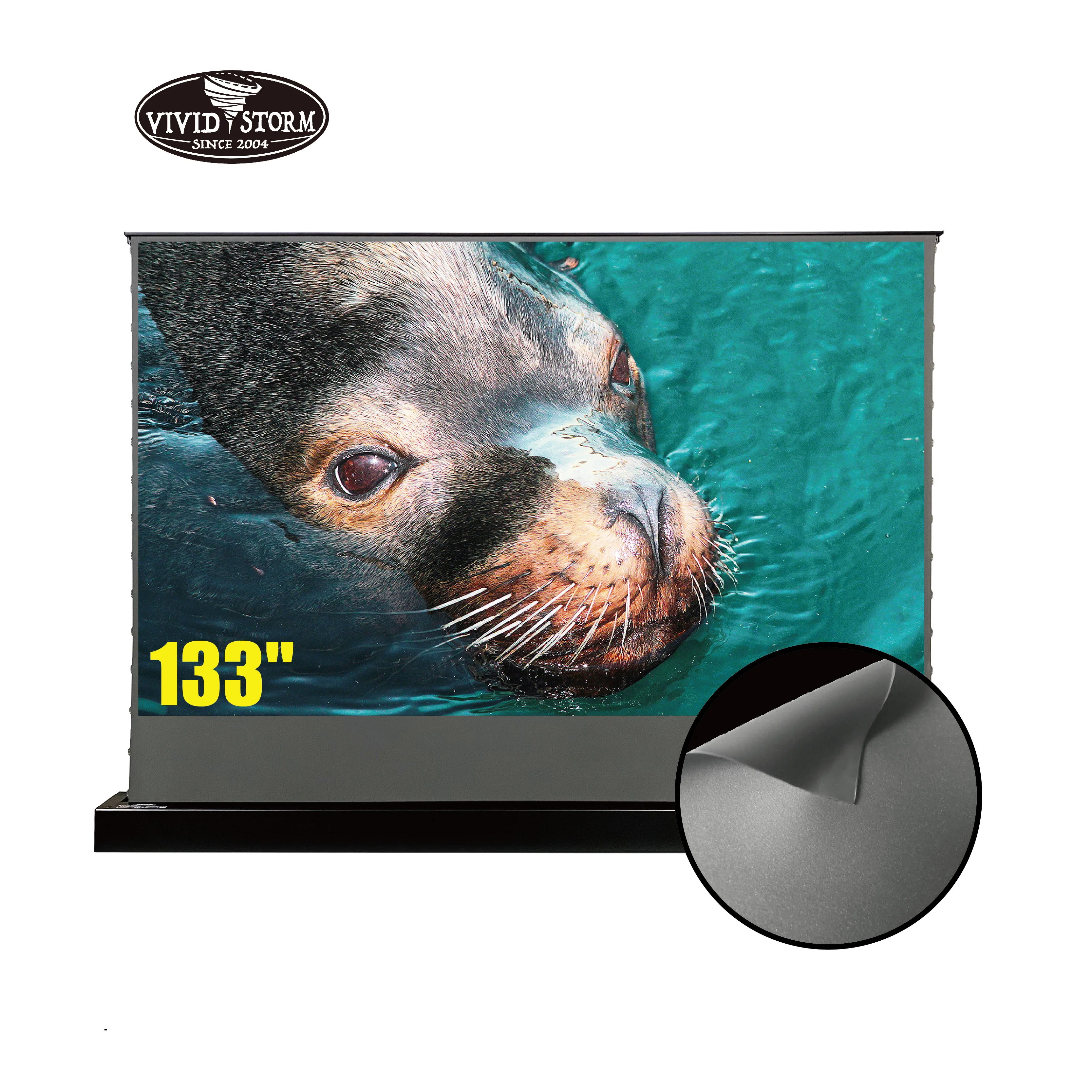 

VIVIDSTORM 133inch S Electric tensioned floor reflective portable screen Obsidian Long Throw ALR for Standard throw projector