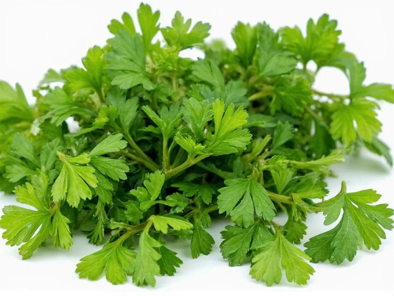 1/4 Cup Fresh Parsley Equals 1 Tbsp Dried: Conversion Guide