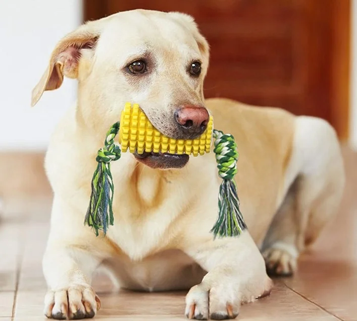 

Pet Toy Set 2021 Swimming Floating Pool Puppy Toy Dog Corn Toys For Aggressive Chewers Rubber Molar Stick, Yellow