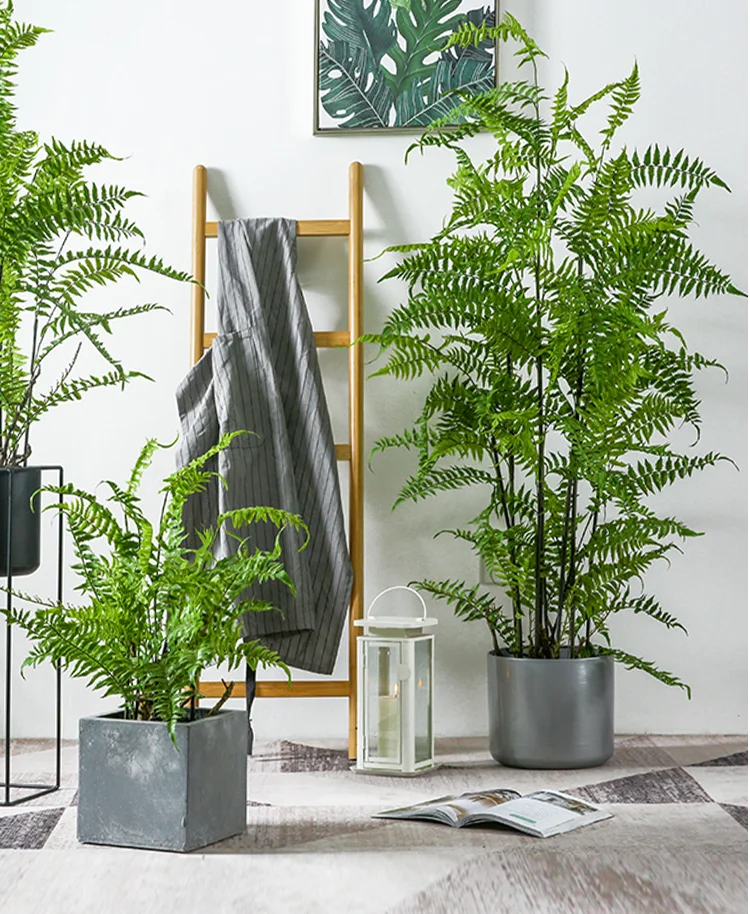

Indoor Outdoor Decoration Plastic Green Persia Artificial Fern Leaves Artificial Grass Plant, Green or as your request