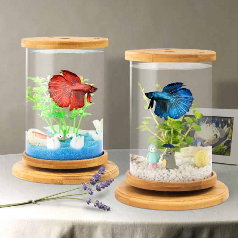 Usb Desktop Aquarium Mini Fish Tank Office Colorful Led Light Rotating ...