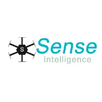 Sense intelligence. Кибер интеллект. Искусственный интеллект. Sense intelligence. Ptn.