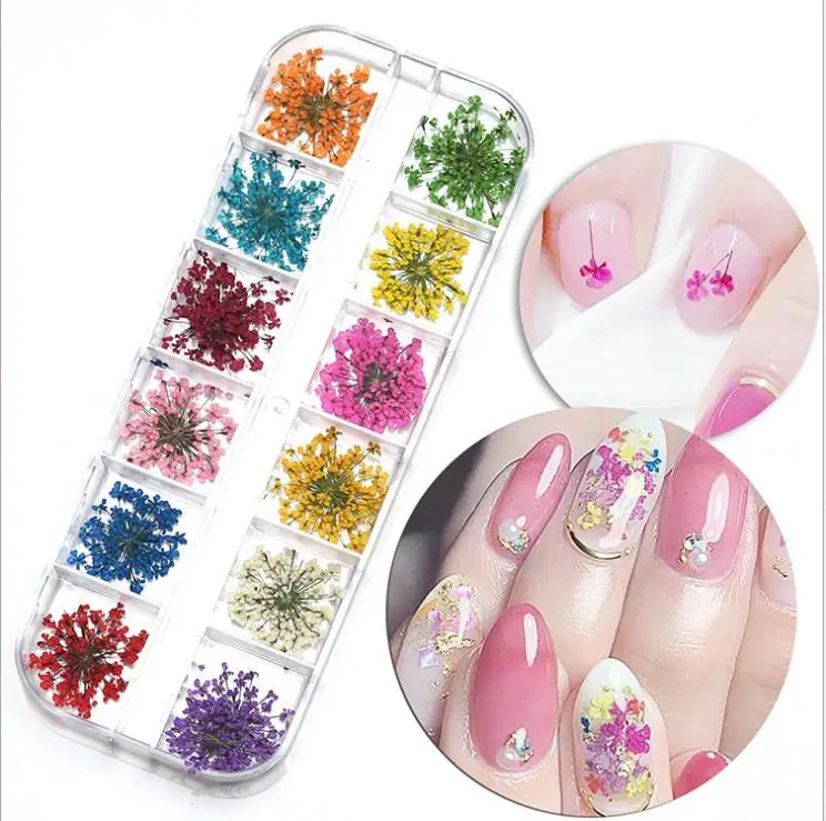 

Mix Dried Flowers Nail Decorations Jewelry Natural Floral Leaf Stickers 3D Nail Art Designs