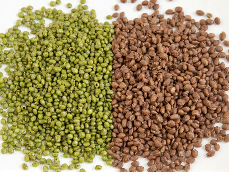 green vs brown lentils