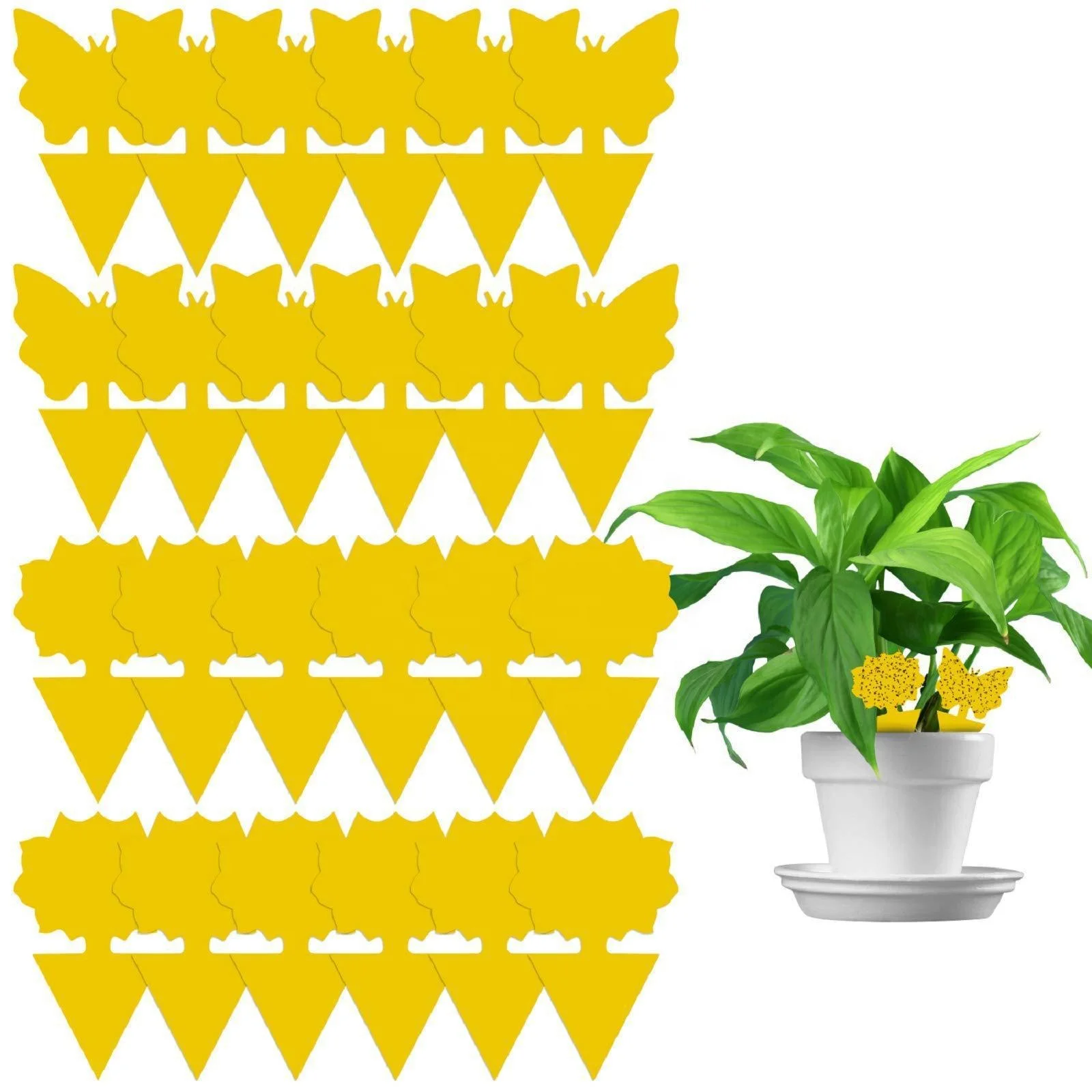 

A0550 Fruit Fly Traps Fungus Gnat Traps Yellow Sticky Bug Traps Non-toxic and Odorless for Indoor Outdoor Use Protect, Customized color