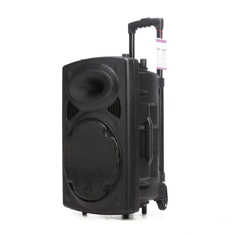 

12 Inches 100W Cheap Trolley Speaker Box With Voice Navigation, Black
