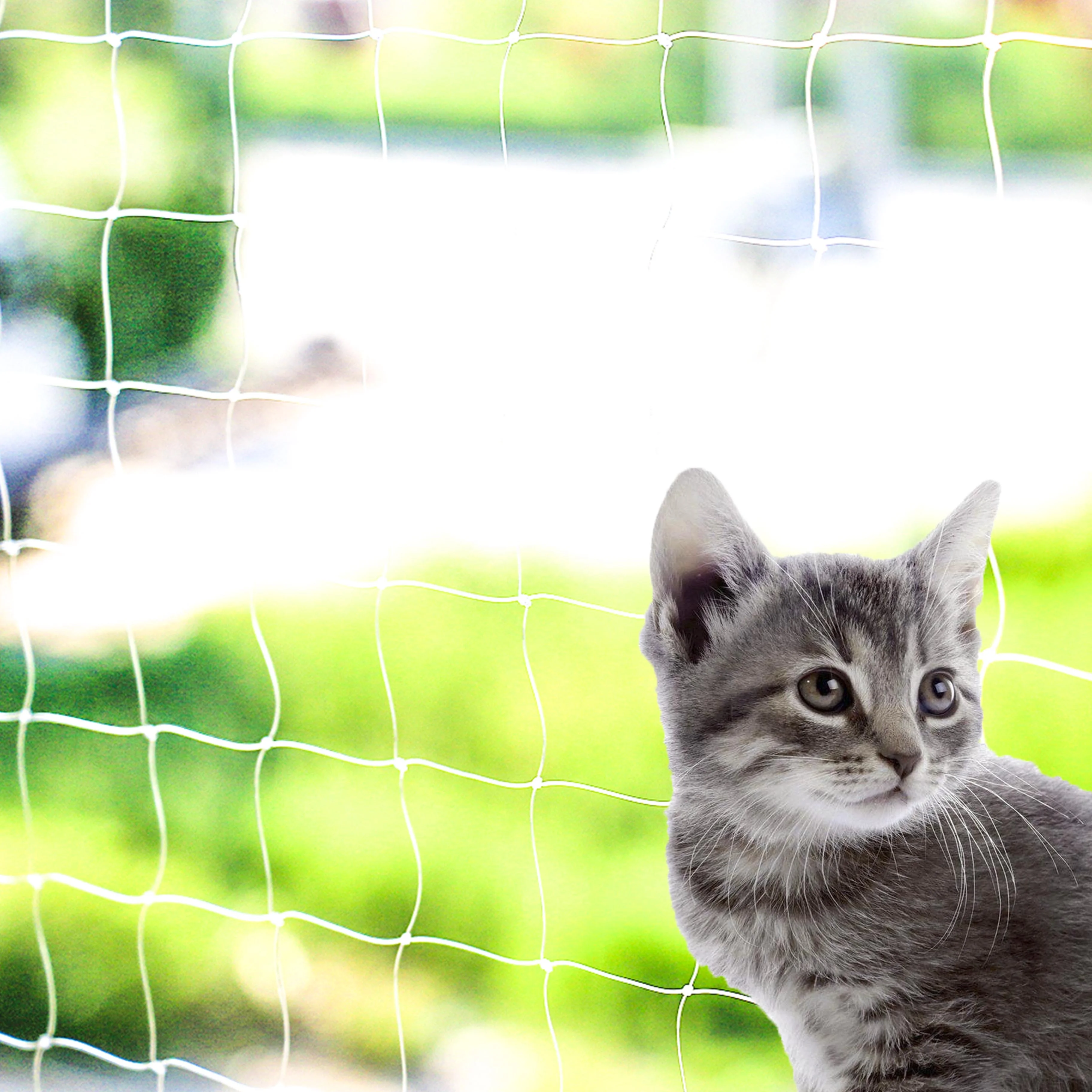 

3mmx3mm cat transparent safety netting cat net fence balcony nylon net