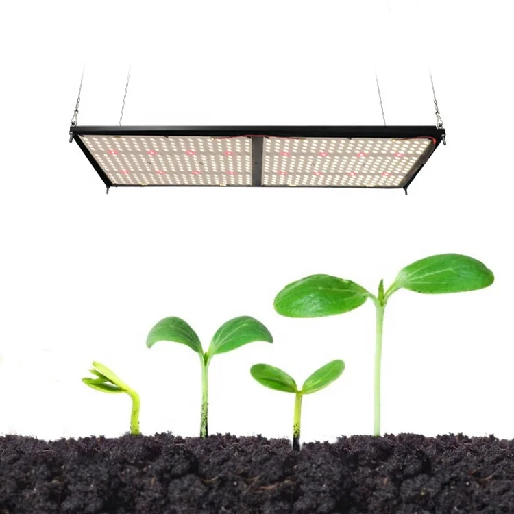 

Maaadro Horticulture QB 288 240w UV LED Full Spectrum Samsung Led Grow Light Board, Pre-assemble growing light for free shipping