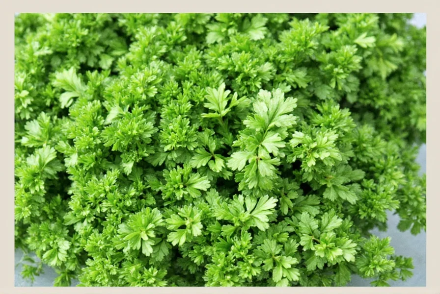 Fresh parsley