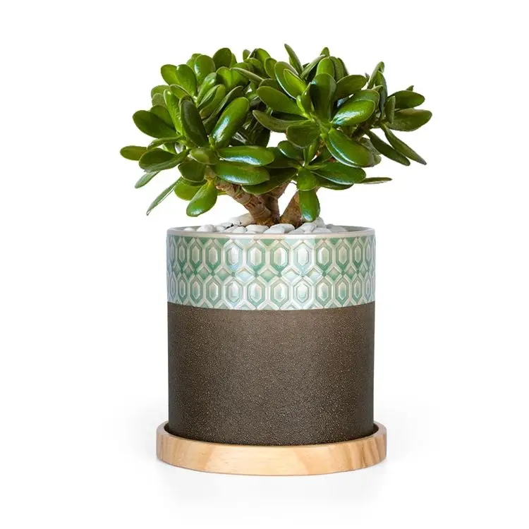 

Factory Direct Supply Ceramic Plant Planter Flower Pot With Wood Saucer