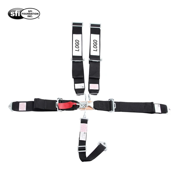seat belt2.jpg