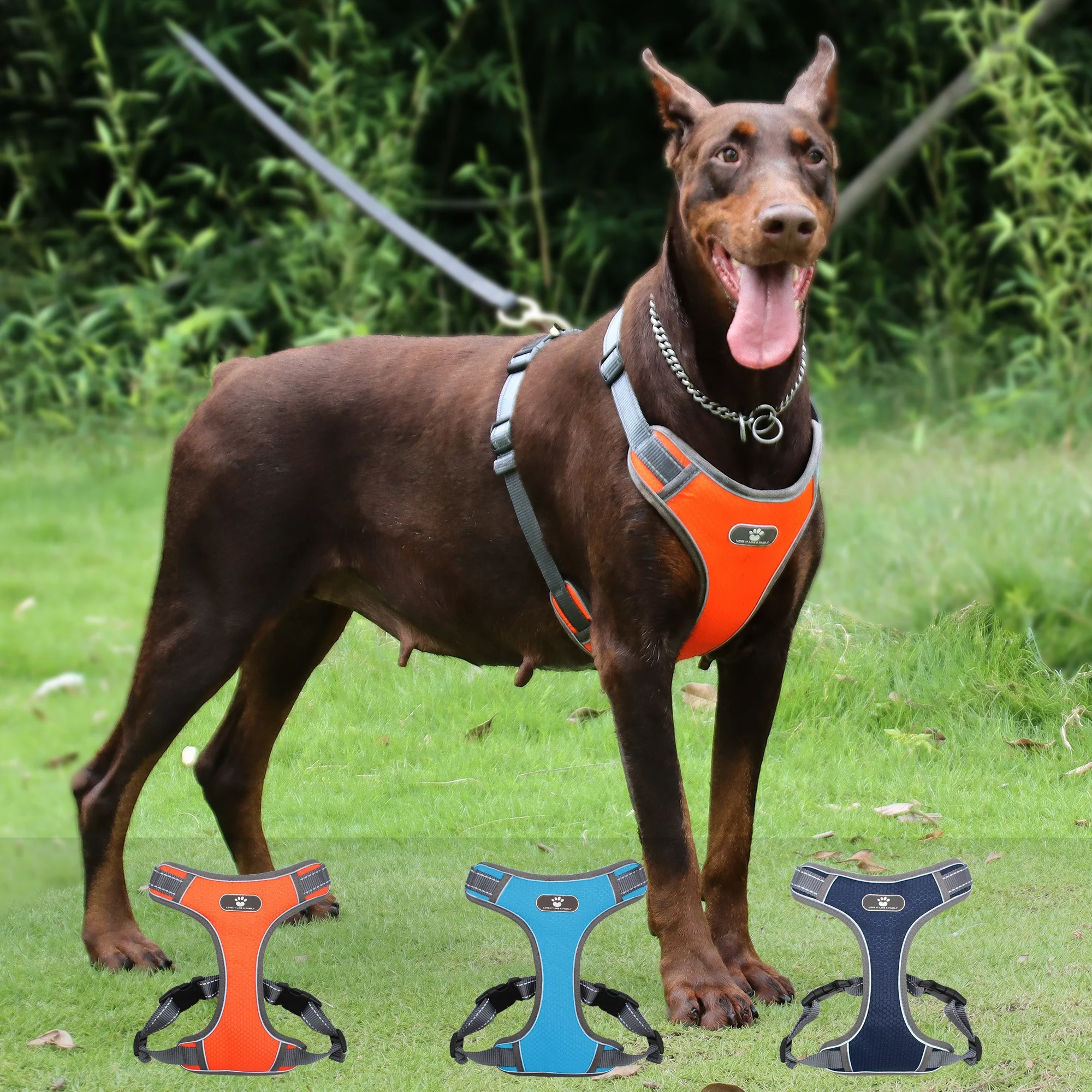 

Wholesale Air Mesh Breathable Custom Fashion Design Big Dog Chest Harness Vest Reflective Pet Harness Set