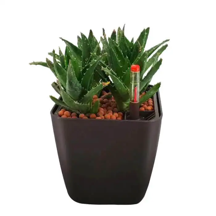

Durable  Decorative Flower Pot Gallon Plant Pot Plastic Flower Pot Square Planter Cactus