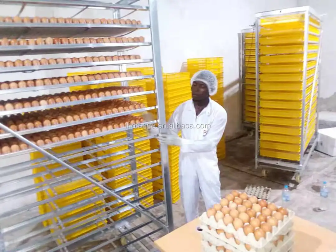 What temperature should my egg incubator be set at