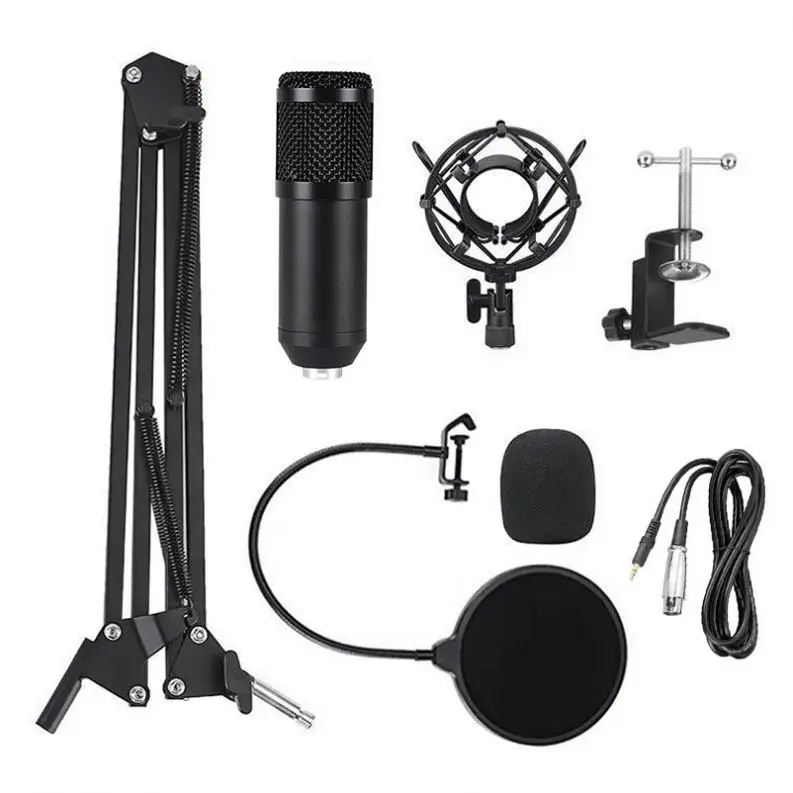 

China Factory Condenser Studio Microphone