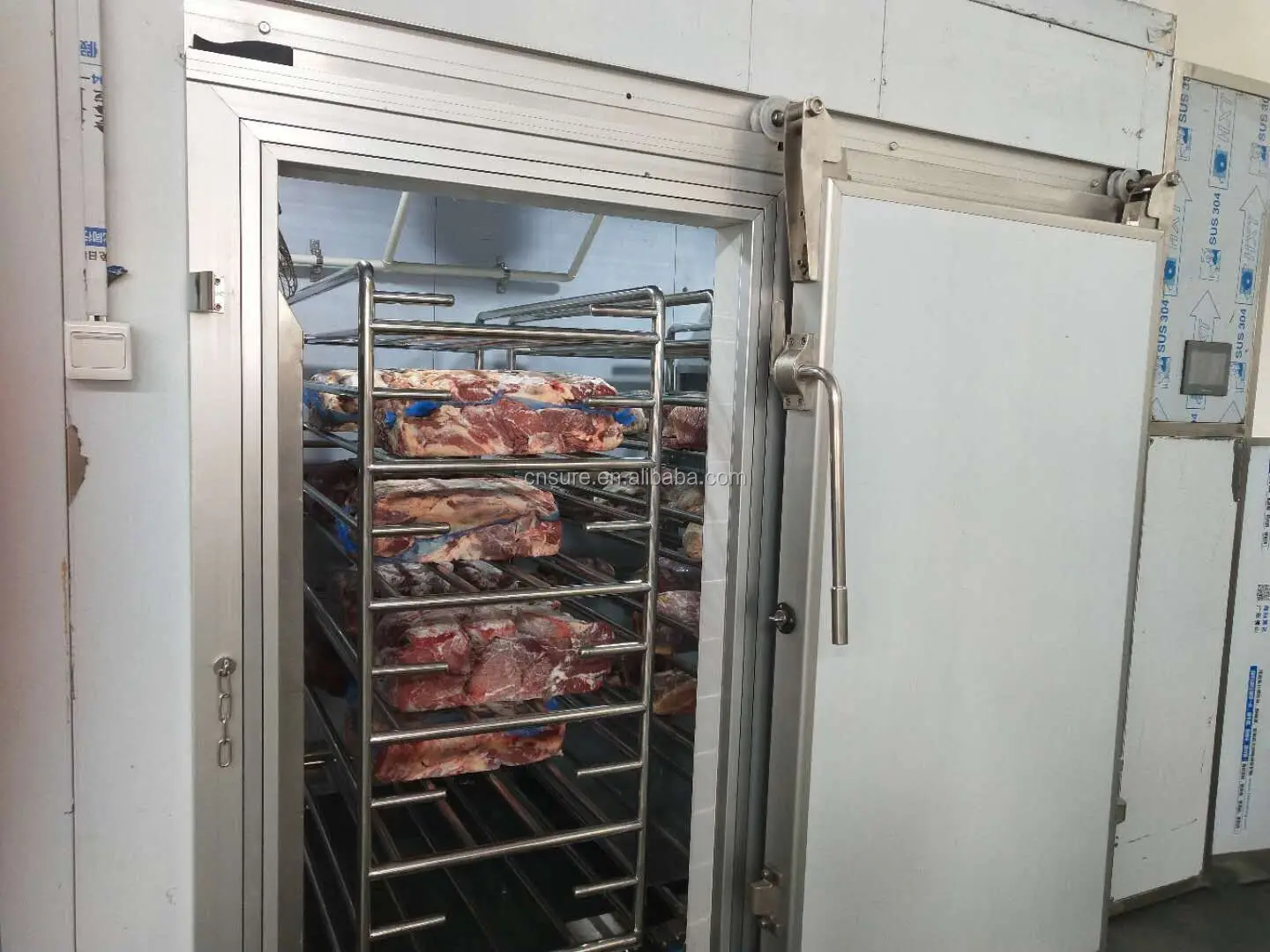Frozen Fish Meat Seafood Defrosting Machine / Thawing Room Buy Meat