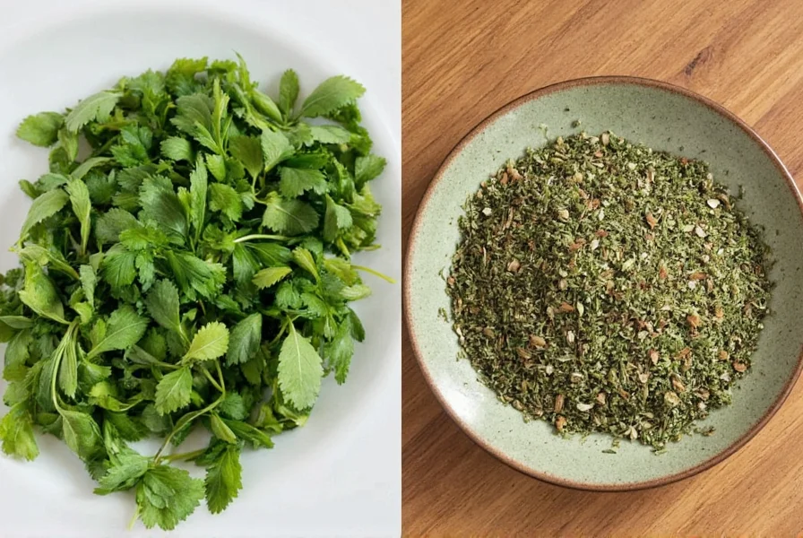 Progressive International Herb Keeper