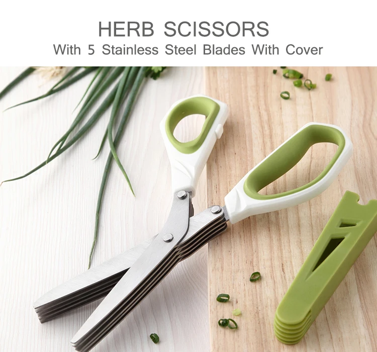 Source Tansung Custom scissors cocina food shallot for high quality  anti-rust kitchen herb scissors on m.