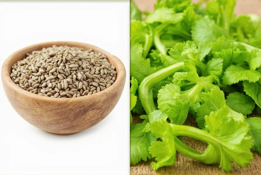 Close-up view of celery seeds showing their small, brown, ribbed appearance