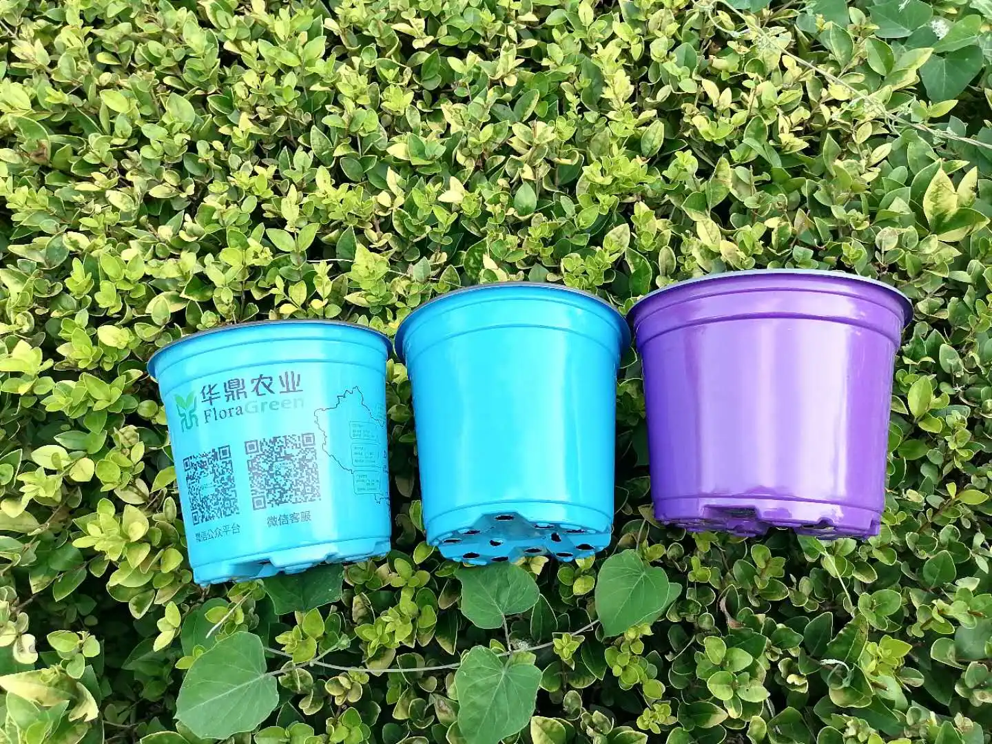 Garden Pot,Deep Large Propagation Pot Vacuum Formed Plastic