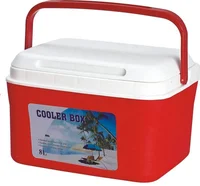 

Hot selling Plastic Portable Mini Ice Cold Box PP Medical Bag Insulated Cooling Cooler Box