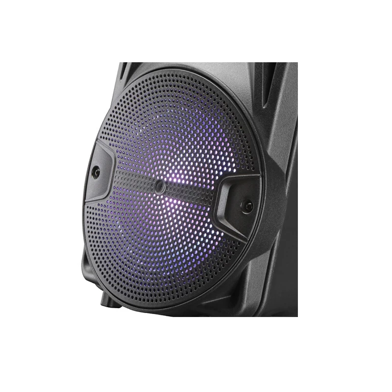 

Speaker wireless blue tooth 8" speaker high quality outdoor dj sound box portable PK-10 wireless karaoke speaker with mic, Black